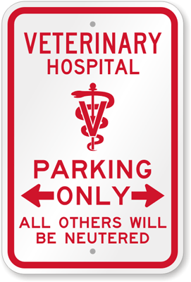 Veterinary Hospital Parking