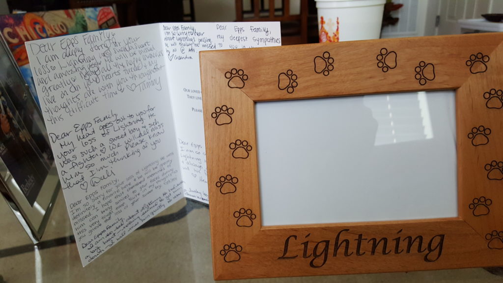 Card and picture frame