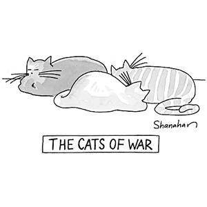 The Cats of War
