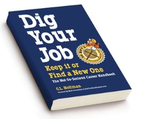 Dig Your Job book cover