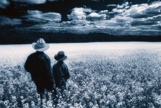 Father and son in a field of wildflowers
